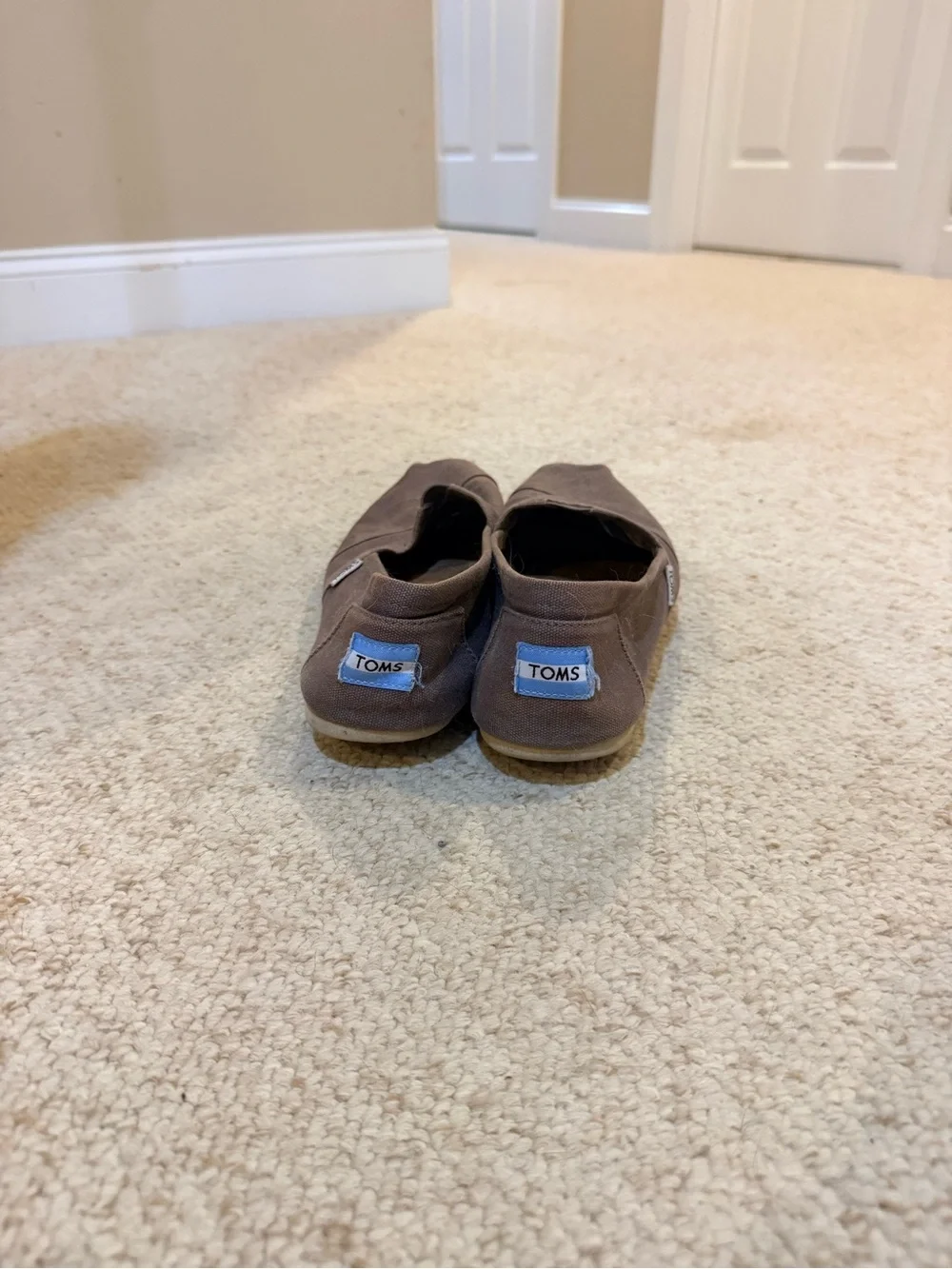 Toms Women's Slip-On Canvas Flats in Brown
